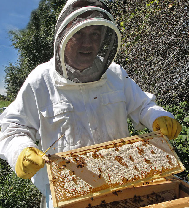 Capping the honey