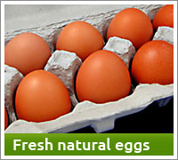 Buy fresh natural Ontario eggs
