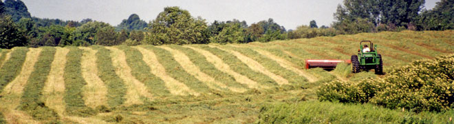 Fairhaven Farm cutting hay