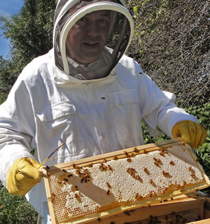 John capping honey